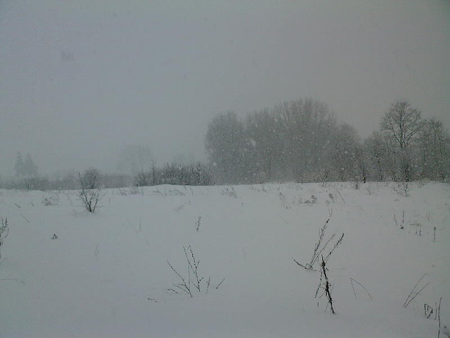 walentynkowo??? raczej ZIMOWO;))
