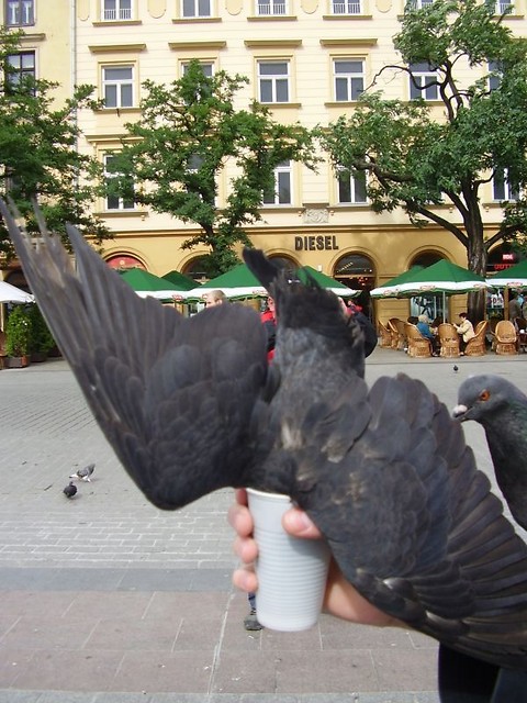 Smakosz