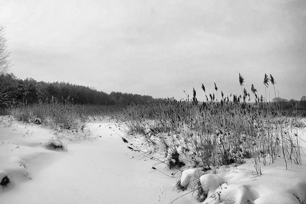 black&white