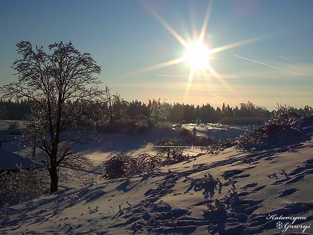 -13-