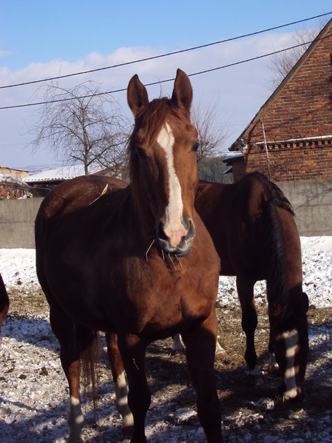 Almusia ;D