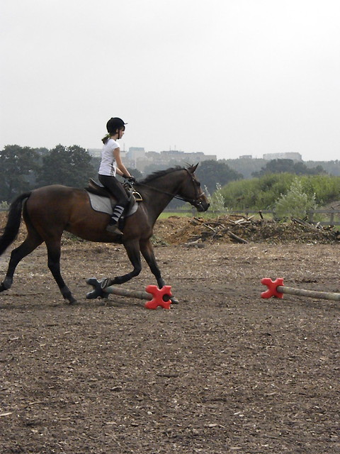 Cavaletti ;p