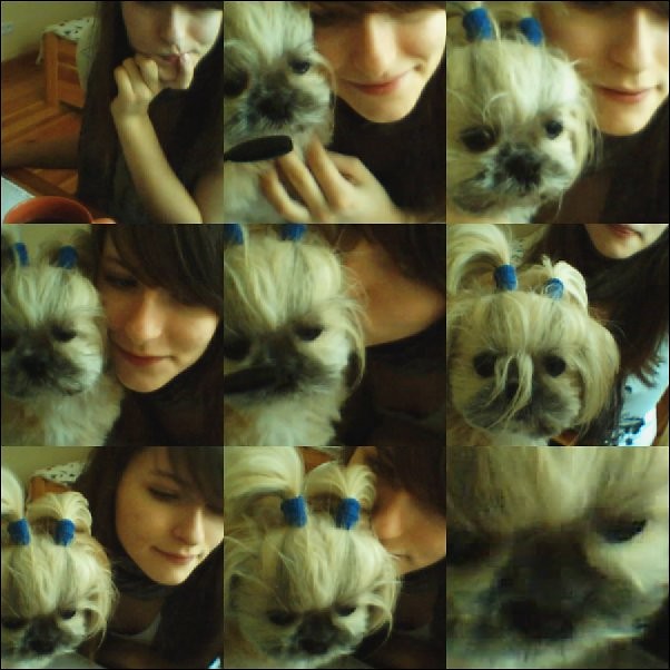 my dog.