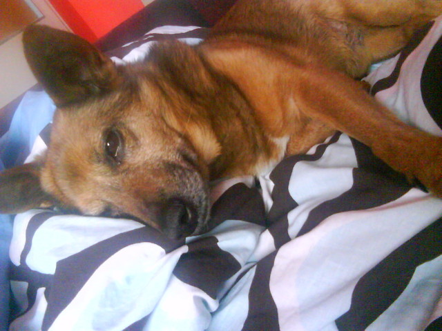 Mioci mojaa ;]
