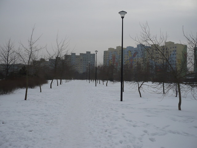 Park Tysiclecia - alejka zim