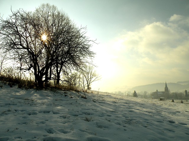 koci cinawka Dolna