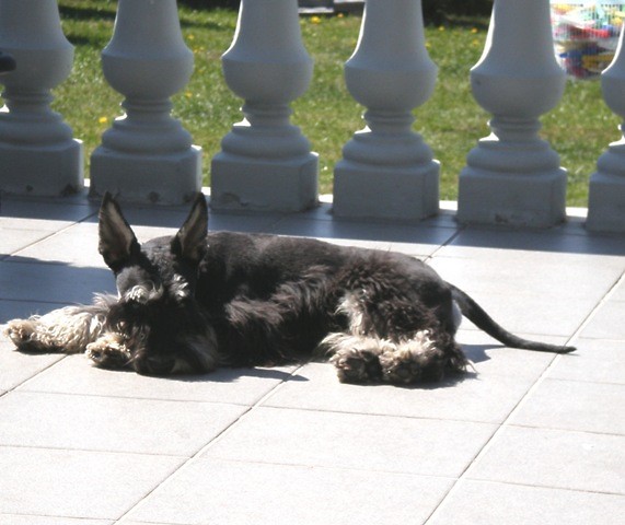 moj kochanek...:*