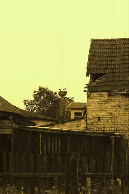 OTO TO ZDJCIE ZROBIEM W ? :)