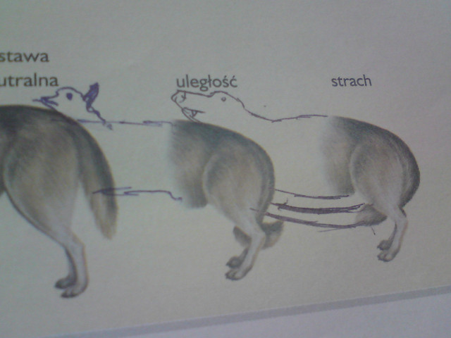 lekcja biologii ; xx
