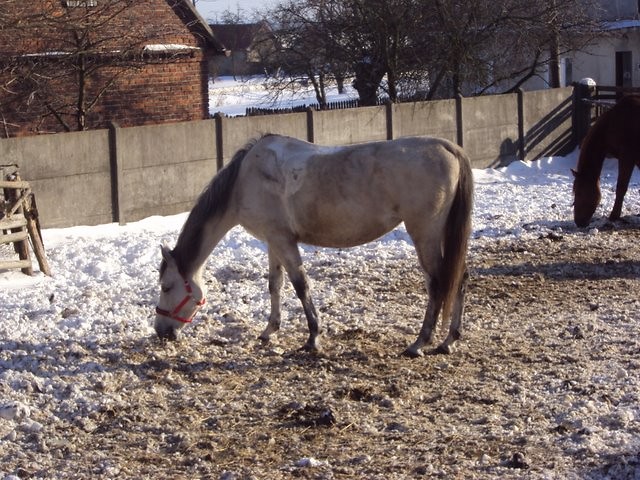 Moje Kochane ;)