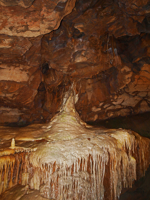 cheddar, gough's cave, anglia