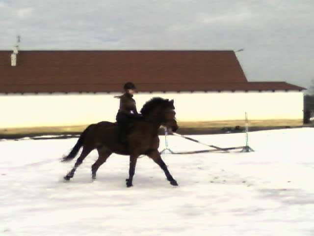 ^^Alicja^^