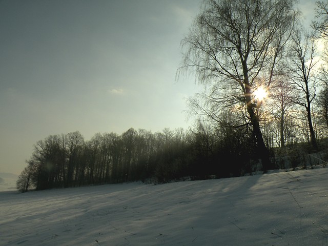 soneczko