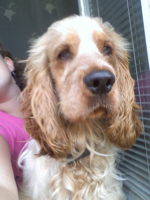 Charlie;))