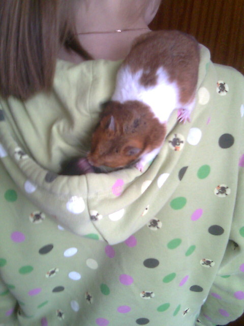 zakochana para;**