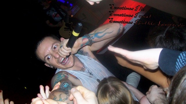 Chesterrrrrrrrrrrrrr x3