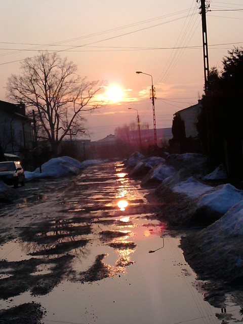 SuOnEcKoOo ;] 