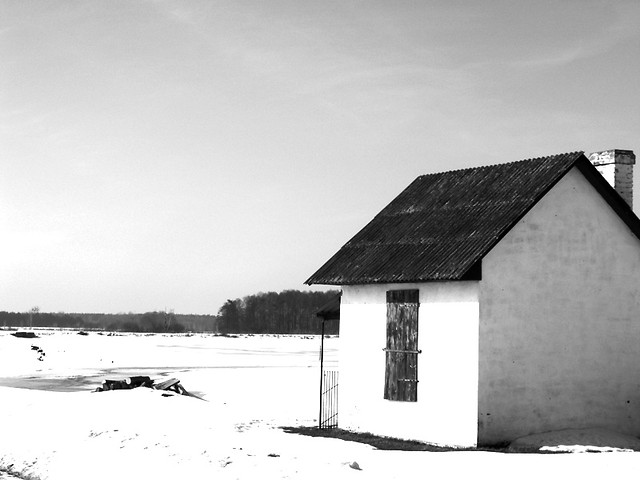 Sosnowica 2010