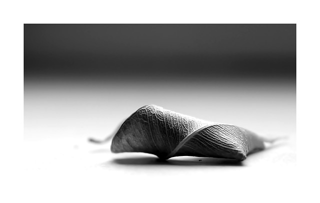 samsara