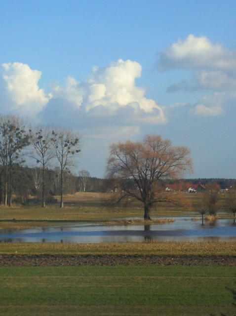 jeziorko