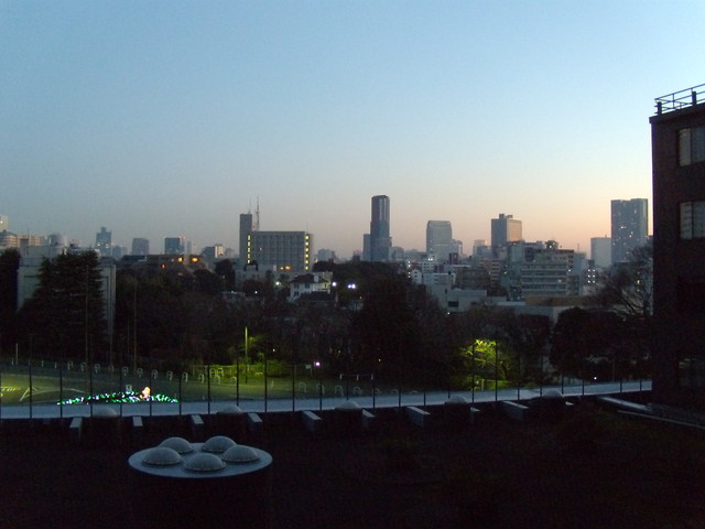 Tokio o wicie