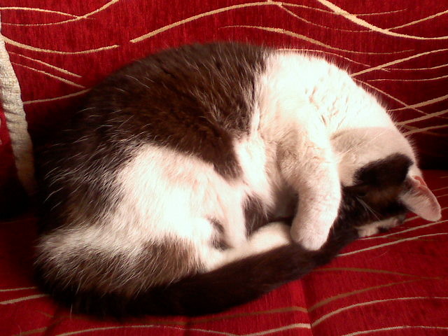 poobiednia siesta