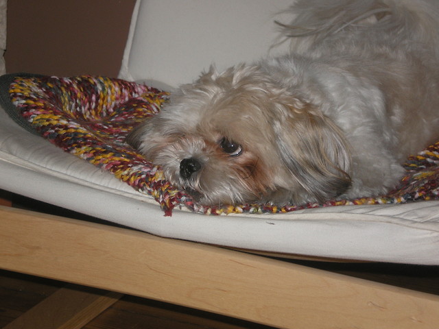 Guzik..:**