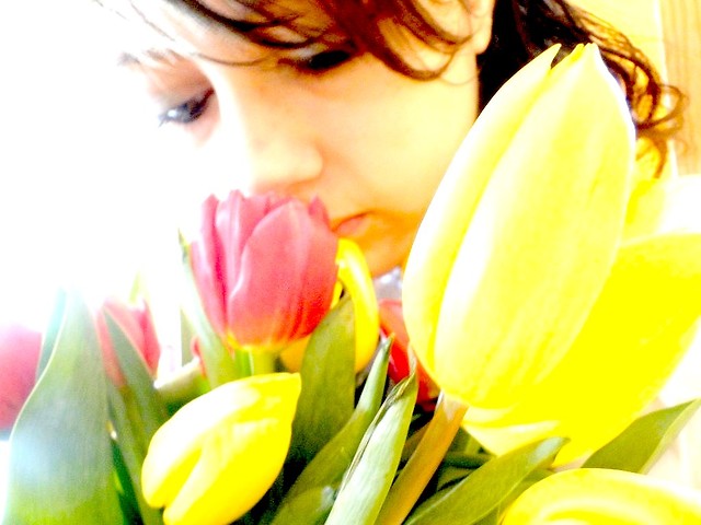 te tulipany
