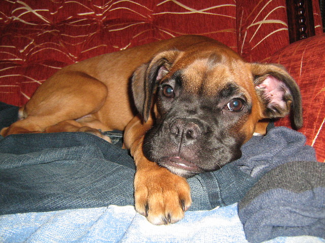 :P