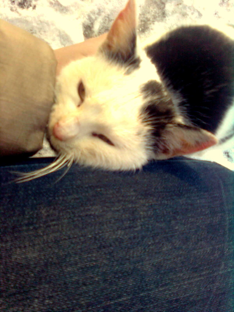 Lucy =)
