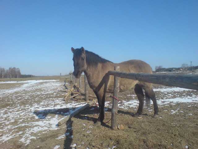 Kubeek .