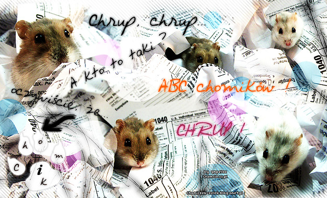 ABC chomikw;**