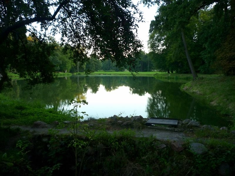 Staw w parku Gouchowskim 