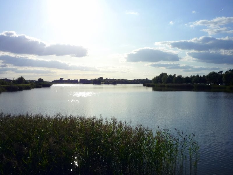 Zalew - Piaski Szczygliczka 