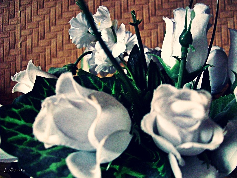 Rsze. 