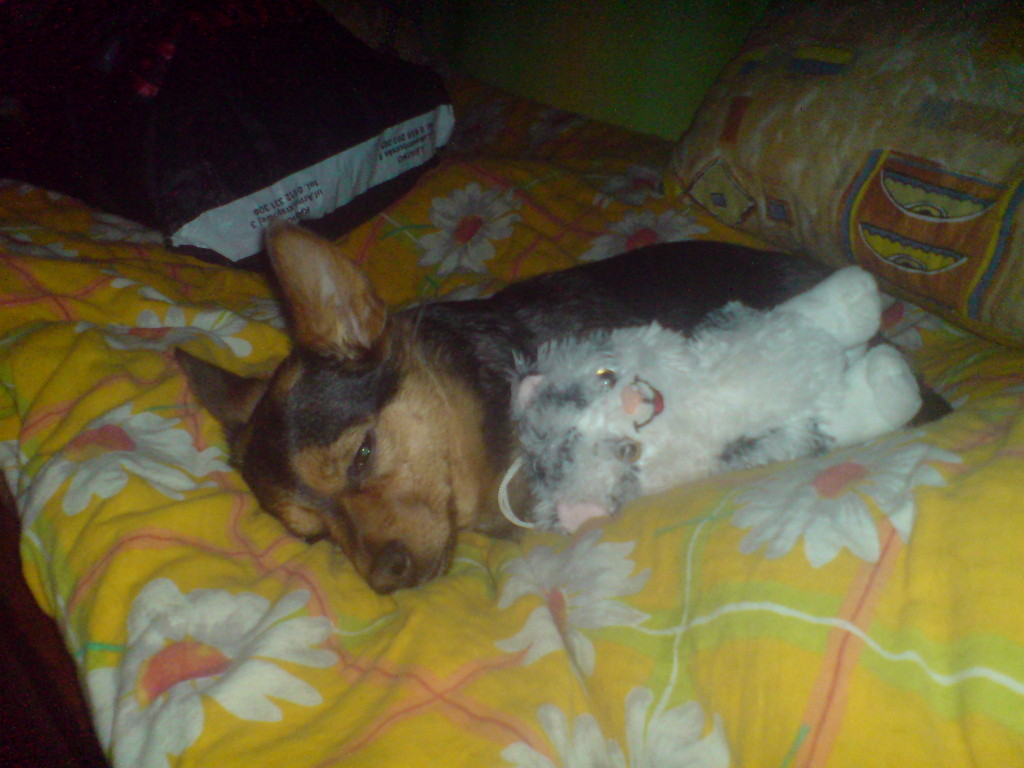 moja.< 3