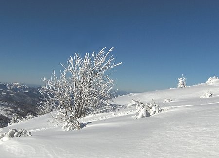Let it snow...