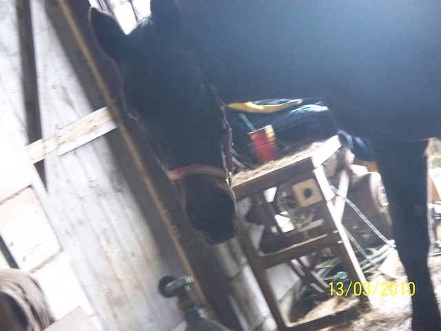 Joop ;p