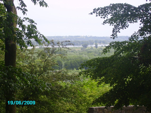 Kolejne przejawy 