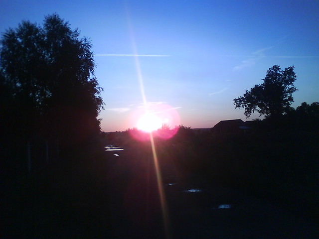 this is the life.
