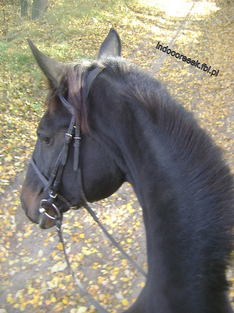 Miisiieeek. :*