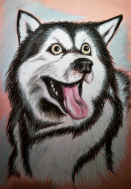 Husky^^