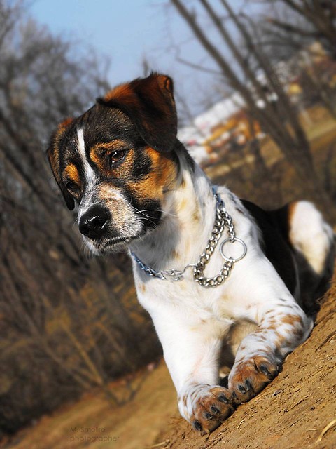 Brando :)