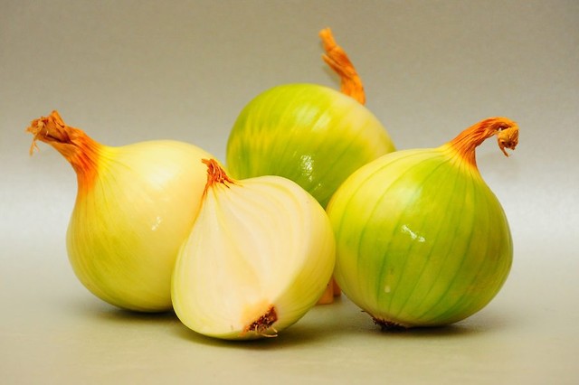 cebula