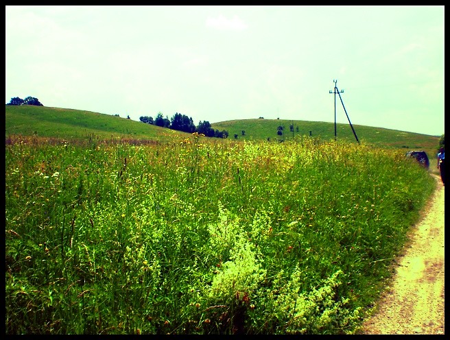 Uhercowe.