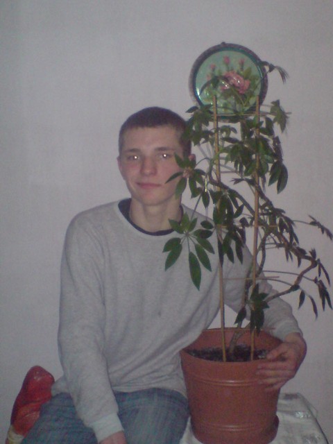 Jest moc jest impreza 