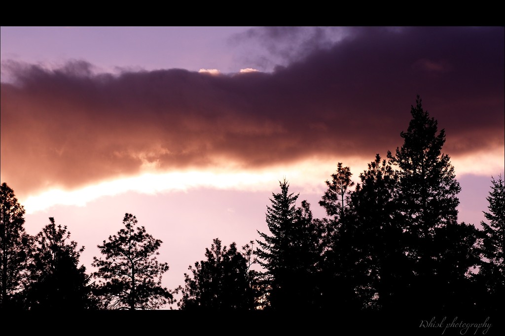 photography.