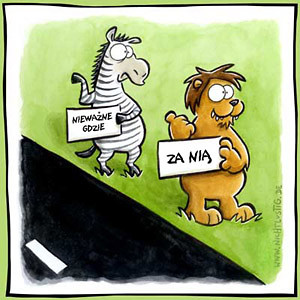 Haha gdzie jest zebra:)