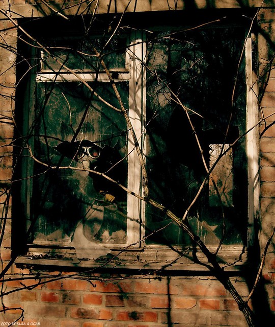 window into hell