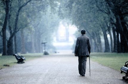 finding neverland.